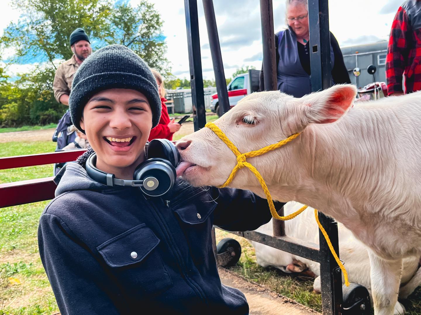 Student licked by white cow at Common Ground Country Fair.