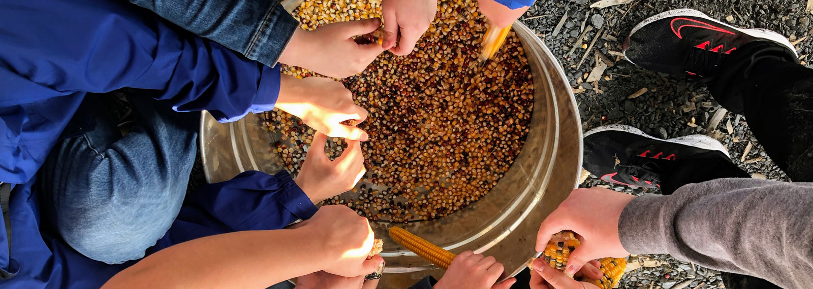 Charter School Agricultural High Schools Best Schools In Maine